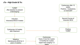 cTa – High Grade & Tis:
TURBT
(Re-resection to prevent
understaging)
Induction
Intravesical BCG 6 weeks
Cystoscopy 4-6 weeks
after treatment
Negative
Maintenance BCG for 3
years (3 weekly)
Cystoscopy
Every 3 mon for 2 years
6 monthly for 2 years
Upper tract imaging 1-2
yearly
Positive
TURBT
Second Course of
Induction BCG
Cystoscopy after 12
weeks
Positive – Cystectomy
or ChemoRT
 