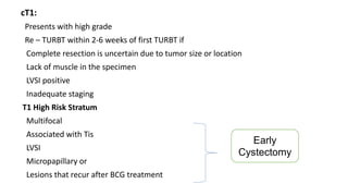 cT1:
Presents with high grade
Re – TURBT within 2-6 weeks of first TURBT if
Complete resection is uncertain due to tumor size or location
Lack of muscle in the specimen
LVSI positive
Inadequate staging
T1 High Risk Stratum
Multifocal
Associated with Tis
LVSI
Micropapillary or
Lesions that recur after BCG treatment
Early
Cystectomy
 