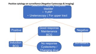 Positive cytology on surveillance (Negative Cystoscopy & imaging)
• Selective mapping biopsies
bladder
• TURP
• Ureteroscopy ( For upper tract
tumors)
Positive Negative
Surveillanc
e
Induction
BCG
Good response
Maintenance
BCG
No response
Cystectomy /
Changing drug
 