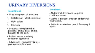 URINARY DIVERSIONS
Incontinent:
• Uses a segment of intestine
1. Distal ileum (Most common)
2. Right colon
3. Jejunum
• Ureters are implanted in
proximal end & distal end is
brought to the skin.
• Patient wears a urinary
collection appliance
• Advantage – Simplicity & less
post op complications
Continent:
• Abdominal diversions (requires
continent valve)
• Stoma is brought through abdominal
wall to skin.
• Patient catheterises pouch for every 4
hours.
 