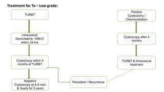 Treatment for Ta – Low grade:
TURBT
Intravesical
Gemcitabine / MM-C
within 24 hrs
Cystoscopy within 4
months of TURBT
Negative
Cystoscopy at 6-9 mon
& Yearly for 5 years
Persistent / Recurrence
TURBT & Intravesical
treatment
Cystoscopy after 4
months
Positive
Cystectomy /
Chemoradiation
 