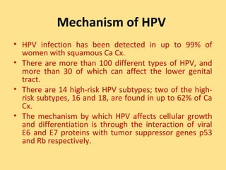 Mechanism of HPV
• HPV infection has been detected in up to 99% of
  women with squamous Ca Cx.
• There are more than 100 different types of HPV, and
  more than 30 of which can affect the lower genital
  tract.
• There are 14 high-risk HPV subtypes; two of the high-
  risk subtypes, 16 and 18, are found in up to 62% of Ca
  Cx.
• The mechanism by which HPV affects cellular growth
  and differentiation is through the interaction of viral
  E6 and E7 proteins with tumor suppressor genes p53
  and Rb respectively.
 