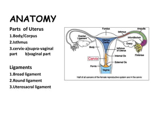 ANATOMY
Parts of Uterus
1.Body/Corpus
2.Isthmus
3.cervix-a)supra-vaginal
part b)vaginal part
Ligaments
1.Broad ligament
2.Round ligament
3.Uterosacral ligament
 