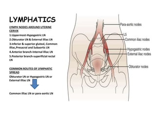LYMPHATICS
LYMPH NODES AROUND UTERINE
CERVIX
1.Uppermost-Hypogastric LN
2.Obturator LN & External illiac LN
3.Inferior & superior gluteal, Common
illiac,Presacral and Subaortic LN
4.Anterior branch-Internal illiac LN
5.Posterior branch-superificial rectal
LN
COMMON ROUTES OF LYMPHATIC
SPREAD
Obturator LN or Hypogastric LN or
External illiac LN
Common illiac LN or para-aortic LN
 