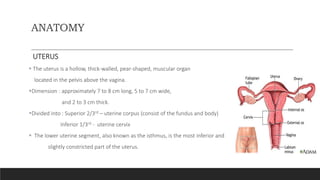 ANATOMY
UTERUS
 The uterus is a hollow, thick-walled, pear-shaped, muscular organ
located in the pelvis above the vagina.
Dimension : approximately 7 to 8 cm long, 5 to 7 cm wide,
and 2 to 3 cm thick.
Divided into : Superior 2/3rd – uterine corpus (consist of the fundus and body)
Inferior 1/3rd - uterine cervix
 The lower uterine segment, also known as the isthmus, is the most inferior and
slightly constricted part of the uterus.
 