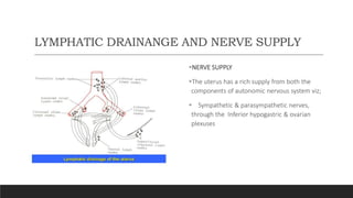 LYMPHATIC DRAINANGE AND NERVE SUPPLY
NERVE SUPPLY
The uterus has a rich supply from both the
components of autonomic nervous system viz;
 Sympathetic & parasympathetic nerves,
through the Inferior hypogastric & ovarian
plexuses
 
