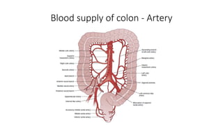 Blood supply of colon - Artery
 