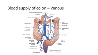 Blood supply of colon – Venous
 