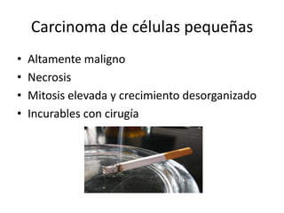 Carcinoma de células pequeñas
•   Altamente maligno
•   Necrosis
•   Mitosis elevada y crecimiento desorganizado
•   Incurables con cirugía
 