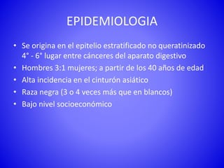 EPIDEMIOLOGIA
• Se origina en el epitelio estratificado no queratinizado
4° - 6° lugar entre cánceres del aparato digestivo
• Hombres 3:1 mujeres; a partir de los 40 años de edad
• Alta incidencia en el cinturón asiático
• Raza negra (3 o 4 veces más que en blancos)
• Bajo nivel socioeconómico
 
