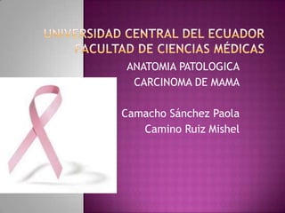 ANATOMIA PATOLOGICA
 CARCINOMA DE MAMA

Camacho Sánchez Paola
   Camino Ruiz Mishel
 