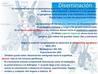 El carcinoma crece en el parénquima pulmonar. Luego alcanza vasos y conductos
linfáticos y da metástasis a distancia o a los ganglios.
La ganglionar suele preceder a las metástasis a distancia.
Puede haber un salto de estaciones linfáticas.
Las neoplasias de los lóbulos inferiores se diseminan hacia
el mediastino posterior y luego a los grupos subcarinales.
En el lóbulo superior derecho los linfáticos drenan hacia el mediastino superior
El lóbulo superior izquierdo drena hacia los
ganglios que rodean los grandes vasos. (Ao y subclavia)
Según la estación comprometida se observará el compromiso ganglionar
Hiliar (N1)
Mediastínico (N2, N3)
Supraclavicular (N3)
También puede haber diseminación retrógrada hacia la superficie
pleural, más en los tumores periféricos.
El crecimiento tumoral compromete estructuras como el mediastino,
la pared torácica o el diafragma. T. Cuando llega a los vasos es
común la colonización a distancia en huesos, suprarrenales, hígado,
cerebro y cualquier otro órgano o sistema. M.
Diseminación
 