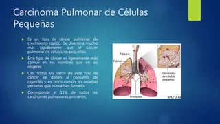 Carcinoma Pulmonar de Células
Pequeñas
 Es un tipo de cáncer pulmonar de
crecimiento rápido. Se disemina mucho
más rápidamente que el cáncer
pulmonar de células no pequeñas.
 Este tipo de cáncer es ligeramente más
común en los hombres que en las
mujeres.
 Casi todos los casos de este tipo de
cáncer se deben al consumo de
cigarrillo y es poco común en aquellas
personas que nunca han fumado.
 Corresponde el 15% de todos los
carcinomas pulmonares primarios.
 