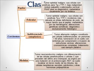 Clasificación
 