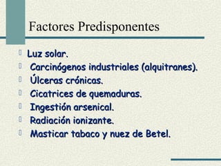 Factores Predisponentes 
 LLuuzz ssoollaarr.. 
 CCaarrcciinnóóggeennooss iinndduussttrriiaalleess ((aallqquuiittrraanneess)).. 
 ÚÚllcceerraass ccrróónniiccaass.. 
 CCiiccaattrriicceess ddee qquueemmaadduurraass.. 
 IInnggeessttiióónn aarrsseenniiccaall.. 
 RRaaddiiaacciióónn iioonniizzaannttee.. 
 MMaassttiiccaarr ttaabbaaccoo yy nnuueezz ddee BBeetteell.. 
 