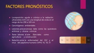 FACTORES PRONÓSTICOS
 La exposición aguda o crónica a la radiación
ultravioleta (UV) con una longitud de onda en el
rango de los 290 a 320 nm
 Carcinógenos ambientales
 Lesiones precancerosas tales como las queratosis
actínicas y úlceras crónicas
 Tener labores al aire libre tales como
agricultura y construcción
 Relación entre la enfermedad del CEC y el
virus del papiloma humano (VPH) 16, 18, 31
 
