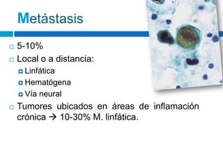 Metástasis
   5-10%
   Local o a distancia:
     Linfática

     Hematógena

     Vía   neural
   Tumores ubicados en áreas de inflamación
    crónica  10-30% M. linfática.
 