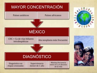 DIAGNÓSTICO
Diagnóstico en
etapas avanzadas
Supervivencia
menor de 1 año
Máxima frecuencia
entre el 5 y 6 decenio
de la vida
MÉXICO
CHC + Ca de vías biliares
intrahepáticas
6ta neoplasia más frecuente
MAYOR CONCENTRACIÓN
Países asiáticos Países africanos
 