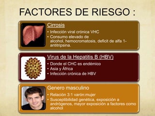 FACTORES DE RIESGO :
Virus de la Hepatitis B (HBV)
• Donde el CHC es endémico
• Asia y África
• Infección crónica de HBV
Cirrosis
• Infección viral crónica VHC
• Consumo elevado de
alcohol, hemocromatosis, deficit de alfa 1-
antitripsina.
Genero masculino
• Relación 3:1 varón:mujer
• Susceptibilidad genética, exposición a
andrógenos, mayor exposición a factores como
alcohol
 