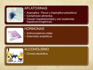 AFLATOXINAS
• Aspergillus Flavus y Aspergillus parasiticus
• Contaminan alimentos.
• Causan hepatotoxicidad y son sustancias
hepatocarcinogénicas
HORMONAS
• Anticonceptivos orales
• Esteroides anabólicos
ALCOHOLISMO
• Cirrosis alcohólica
 