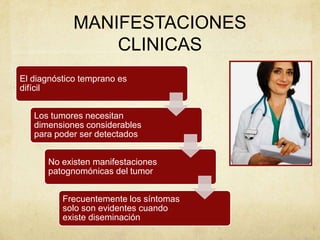 MANIFESTACIONES
CLINICAS
El diagnóstico temprano es
difícil
Los tumores necesitan
dimensiones considerables
para poder ser detectados
No existen manifestaciones
patognomónicas del tumor
Frecuentemente los síntomas
solo son evidentes cuando
existe diseminación
 