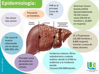 Título del tema
5to cáncer
más común
Epidemiología:
3ra causa de
muerte
relacionada
con el cáncer.
600.000/ año
VHB es la
principal
Causa de
CHC
27,170 personas
(18,280 hombres y
8,890 mujeres)
morirán a causa de
estos cánceres.
American Cancer
Society:(2016)
Aproximadamente
39,230 nuevos
casos (28,410 en
hombres y 10,820
en mujeres)
Frecuente
en hombres.
Incidencia máxima: África
subsahariana y sudeste
asiático, donde la (VHB) es
endémica y la incidencia
excede
15casos/100.000hab/año.
Principal causa
de muerte en
pacientes con
cirrosis.
 