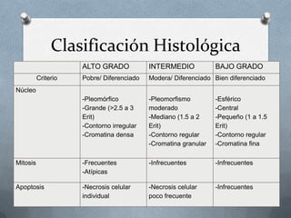 Clasificación Histológica