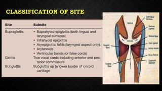 CLASSIFICATION OF SITE
 