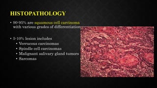 HISTOPATHOLOGY
• 90-95% are squamous cell carcinoma
with various grades of differentiation
• 5-10% lesion includes
• Verrucous carcinomas
• Spindle cell carcinomas
• Malignant salivary gland tumors
• Sarcomas
 