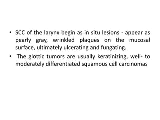 Carcinoma larynx   Slide 24