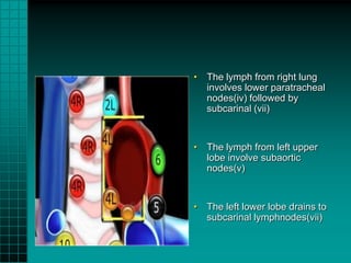 • The lymph from right lung
  involves lower paratracheal
  nodes(iv) followed by
  subcarinal (vii)


• The lymph from left upper
  lobe involve subaortic
  nodes(v)


• The left lower lobe drains to
  subcarinal lymphnodes(vii)
 