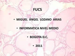 FUCSMIGUEL  ÁNGEL  LOZANO  ARIASINFORMATICA NIVEL MEDIOBOGOTA D.C.2011