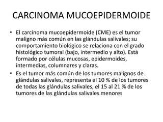 CARCINOMA MUCOEPIDERMOIDE
• El carcinoma mucoepidermoide (CME) es el tumor
maligno más común en las glándulas salivales; su
comportamiento biológico se relaciona con el grado
histológico tumoral (bajo, intermedio y alto). Está
formado por células mucosas, epidermoides,
intermedias, columnares y claras.
• Es el tumor más común de los tumores malignos de
glándulas salivales, representa el 10 % de los tumores
de todas las glándulas salivales, el 15 al 21 % de los
tumores de las glándulas salivales menores
 