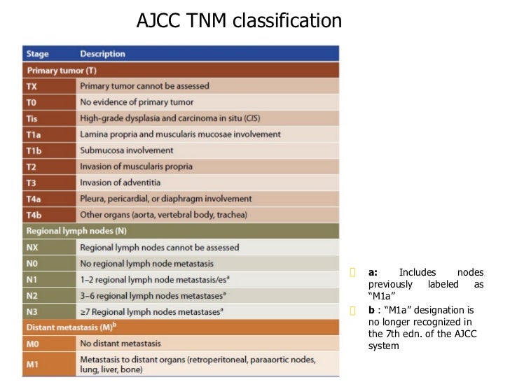 Esophageal Cancer Staging Chart