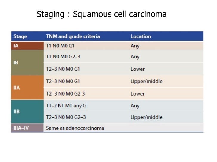 Esophageal Cancer Staging Chart