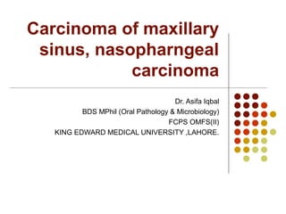 Carcinoma of maxillary
sinus, nasopharngeal
carcinoma
Dr. Asifa Iqbal
BDS MPhil (Oral Pathology & Microbiology)
FCPS OMFS(II)
KING EDWARD MEDICAL UNIVERSITY ,LAHORE.
 