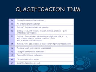 CLASIFICACION TNM

 