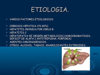 ETIOLOGIA.


VARIOS FACTORES ETIOLOGICOS:



CIRROSIS HEPATICA (70-80%)
HEPATITIS CRONICA POR VIRUS B
HEPATITIS C
HEPATOPATIA DE ORIGEN METABOLICOS( HOMOCROMATOSIS,
DEFICIT DE ALAFA I ANTITRIPSINA, PORFIRIA)
AGENTES CARCINOGENICOS.
OTROS: ALCOHOL, TABACO, ANABOLIZANTES ESTEROIDES.







 