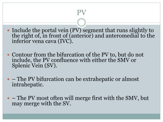 PV
 Include the portal vein (PV) segment that runs slightly to
the right of, in front of (anterior) and anteromedial to the
inferior vena cava (IVC).
 Contour from the bifurcation of the PV to, but do not
include, the PV confluence with either the SMV or
Splenic Vein (SV).
 – The PV bifurcation can be extrahepatic or almost
intrahepatic.
 – The PV most often will merge first with the SMV, but
may merge with the SV.
 