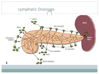 Lymphatic Drainage
 