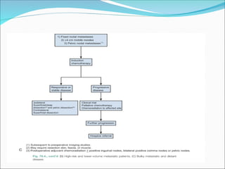 CARCINOMA PENIS powerpoint presentations
