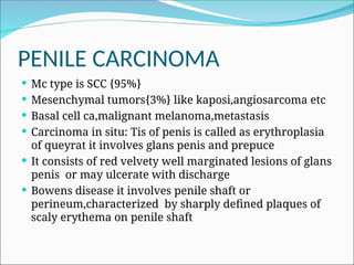 PENILE CARCINOMA
 Mc type is SCC {95%}
 Mesenchymal tumors{3%} like kaposi,angiosarcoma etc
 Basal cell ca,malignant melanoma,metastasis
 Carcinoma in situ: Tis of penis is called as erythroplasia
of queyrat it involves glans penis and prepuce
 It consists of red velvety well marginated lesions of glans
penis or may ulcerate with discharge
 Bowens disease it involves penile shaft or
perineum,characterized by sharply defined plaques of
scaly erythema on penile shaft
 
