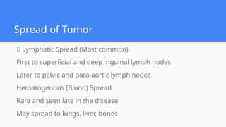 Spread of Tumor
✅ Lymphatic Spread (Most common)
First to superficial and deep inguinal lymph nodes
Later to pelvic and para-aortic lymph nodes
Hematogenous (Blood) Spread
Rare and seen late in the disease
May spread to lungs, liver, bones
 
