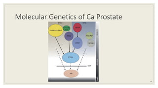 Molecular Genetics of Ca Prostate
10
 