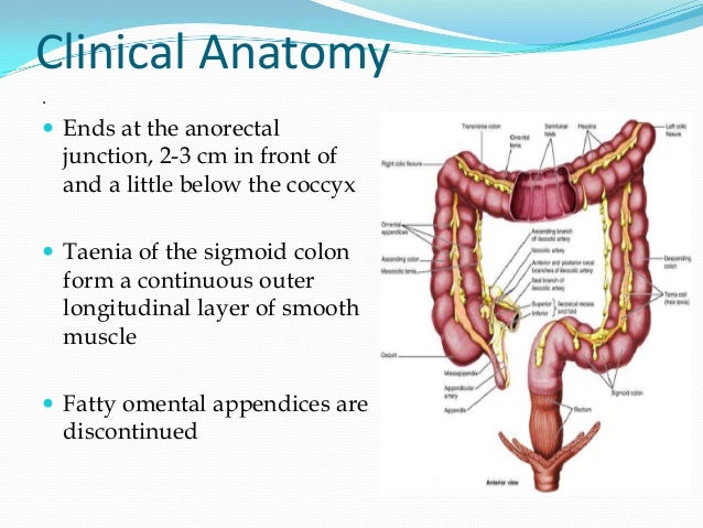 Carcinoma rectum-radiotherapy perspective