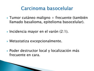 Carcinoma Basocelular Y Espinocelular PPTX carcinoma-basocelular-y-espinocelular-pptx