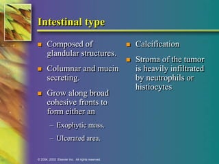 Intestinal type 
 Composed of 
glandular structures. 
 Columnar and mucin 
secreting. 
 Grow along broad 
cohesive fronts to 
form either an 
– Exophytic mass. 
– Ulcerated area. 
© 2004, 2002 Elsevier Inc. All rights reserved. 
 Calcification 
 Stroma of the tumor 
is heavily infiltrated 
by neutrophils or 
histiocytes 
 