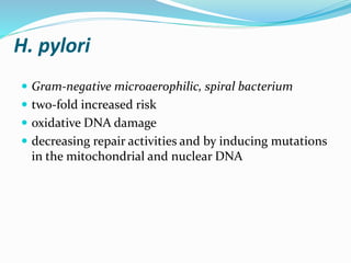 H. pylori
 Gram-negative microaerophilic, spiral bacterium
 two-fold increased risk
 oxidative DNA damage
 decreasing repair activities and by inducing mutations
in the mitochondrial and nuclear DNA
 
