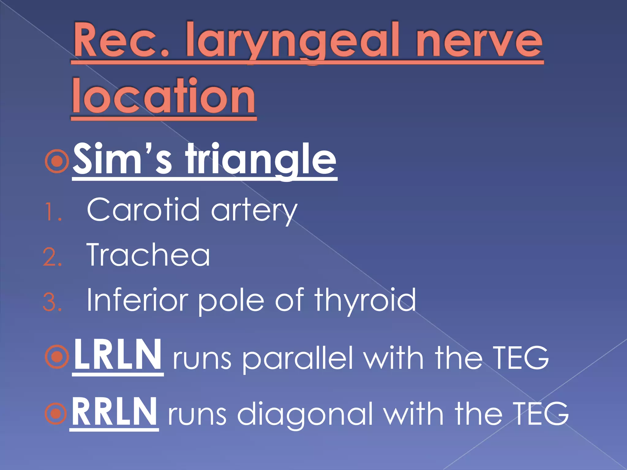 Innervation: 