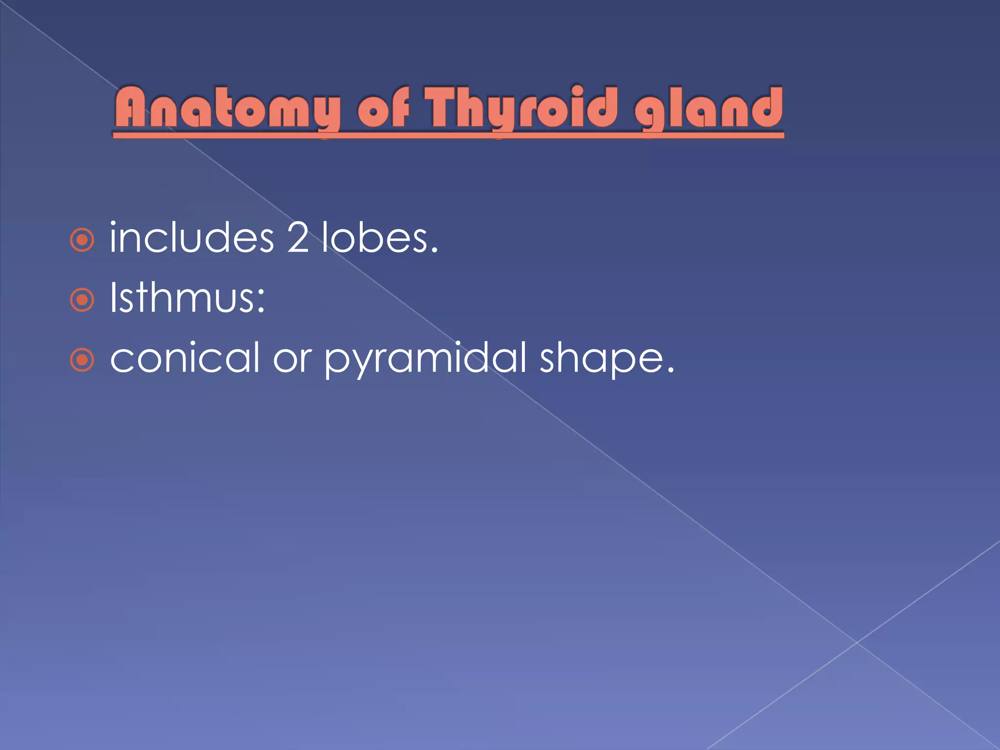 Anatomy of Thyroid gland includes 2 lobes.Isthmus: conical or pyramidal shape.